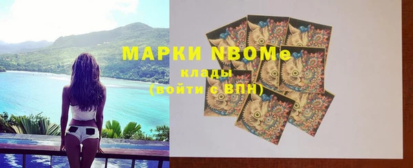 индика Новозыбков