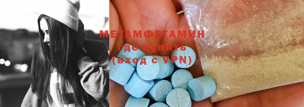 индика Новозыбков