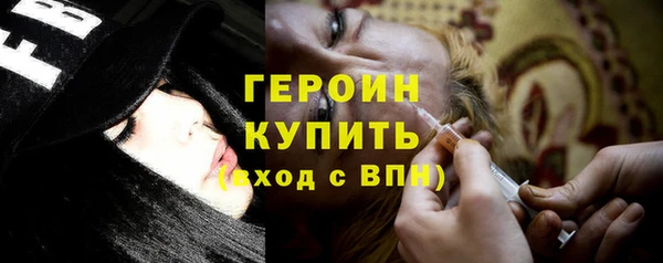 индика Новодвинск