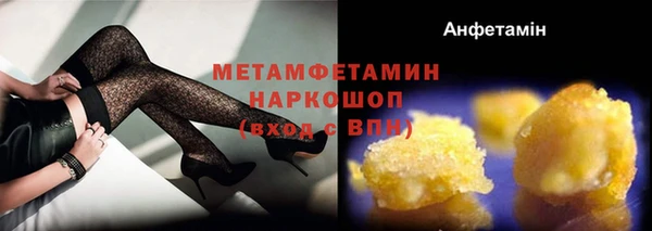 индика Новодвинск